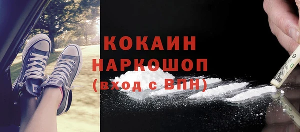 молекула духа Богородск