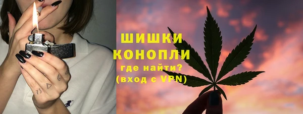 соль ск Богданович