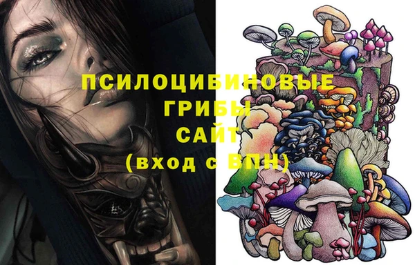 спайс Белокуриха